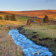 Weardale Museum