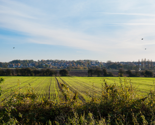 Wolsingham
