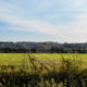 Wolsingham