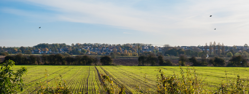 Wolsingham